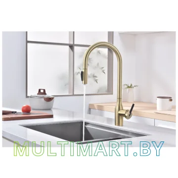 Смеситель Paulmark Universal Un213880-SBG (светлое брашированное золото) картинка 3